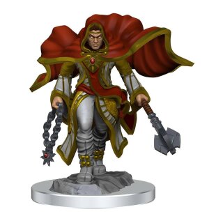 D&D Nolzur's Marvelous Miniatures: Aasimar Cleric Male (2)