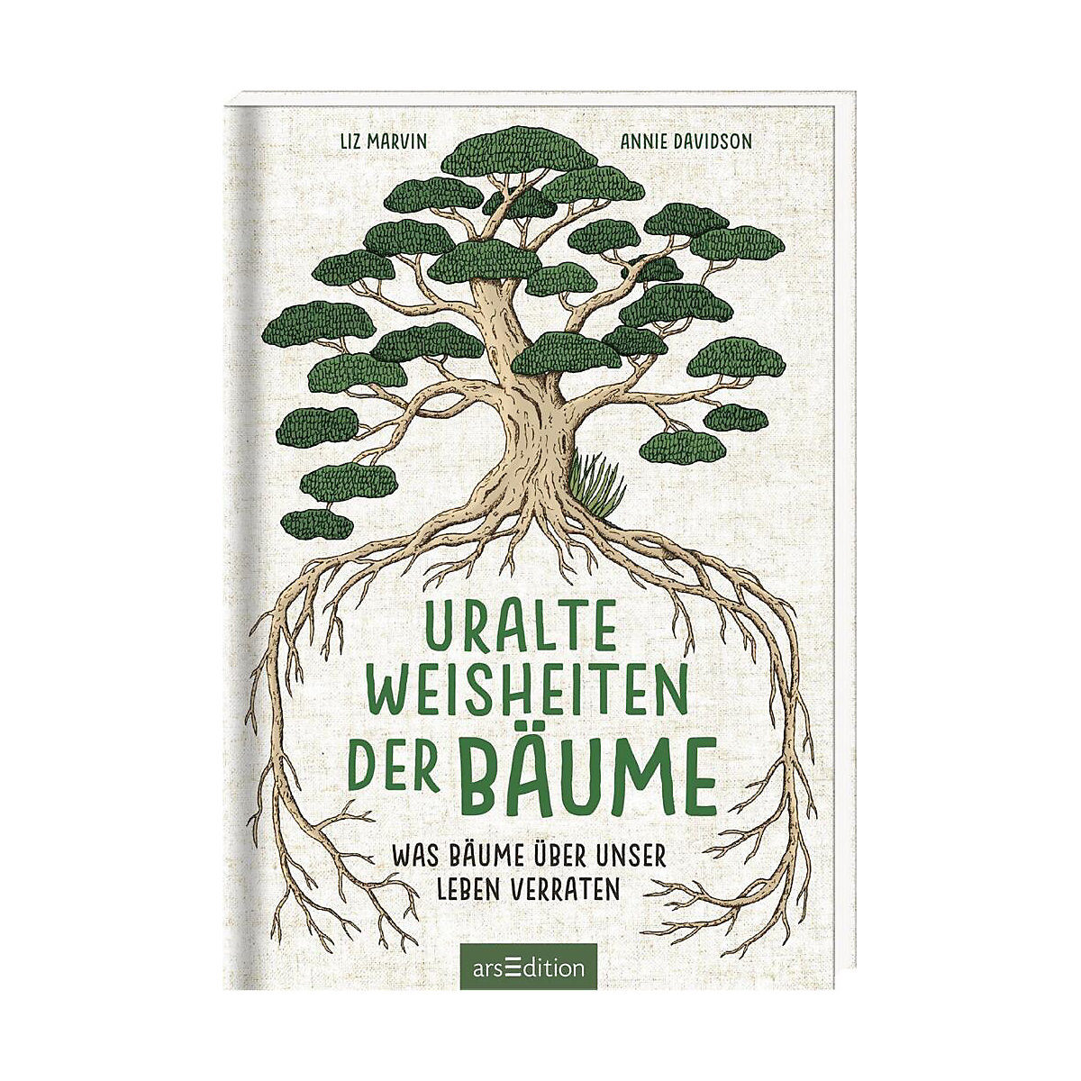 Uralte Weisheiten der Bäume
