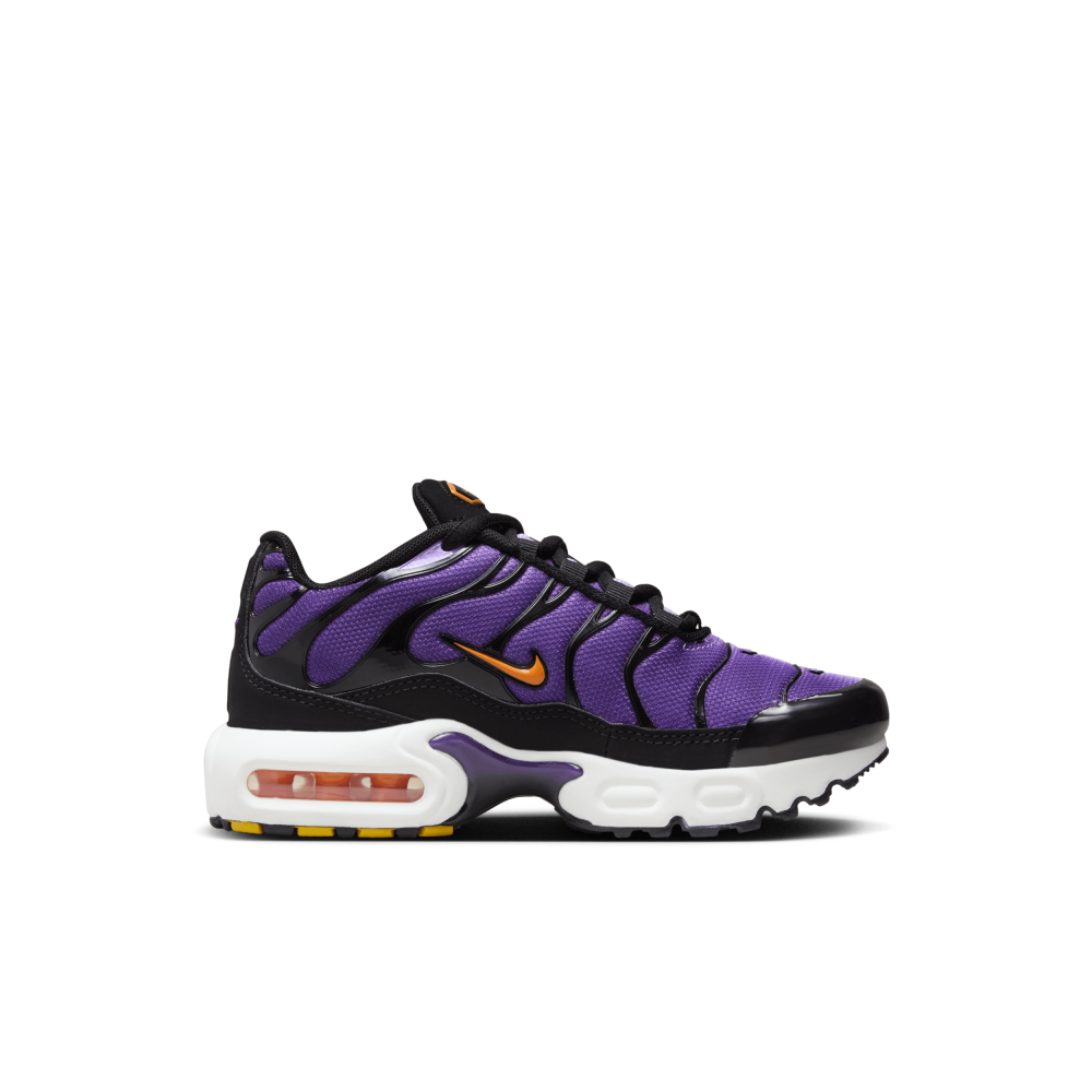 Nike Air Max Plus CD0610-024 / schwarz