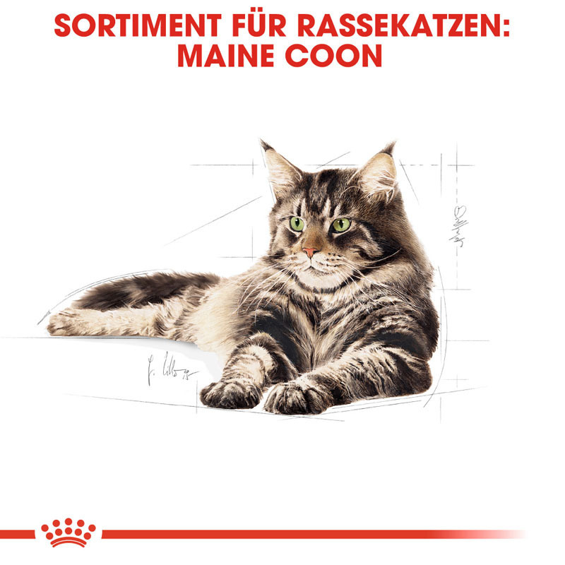 ROYAL CANIN Trockenfutter ROYAL CANIN Maine Coon Adult 4 kg