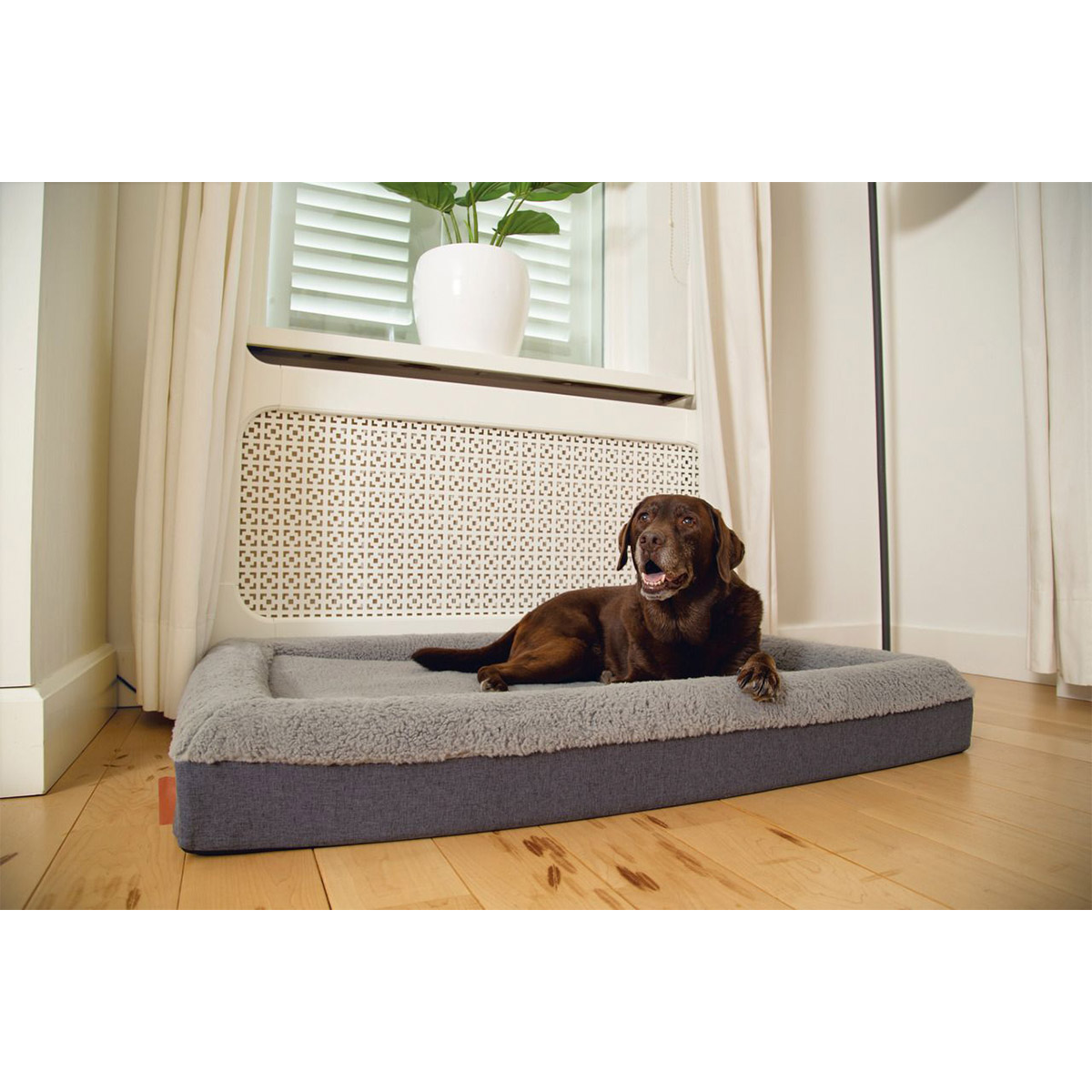 Beeztees orthopädisches Memory Foam Hundebett Yura bei ZooRoyal