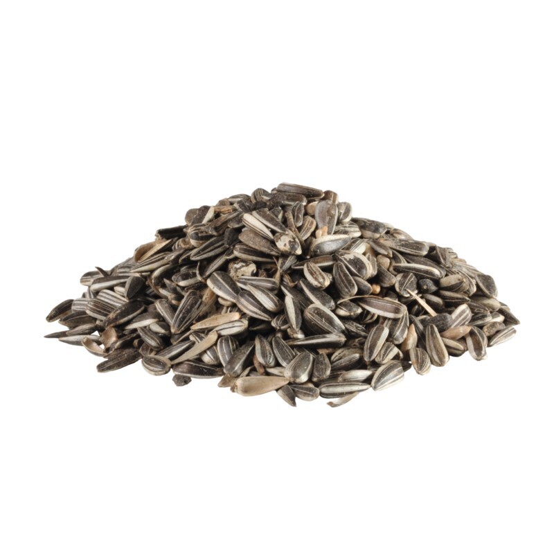 MultiFit Wildvogelfutter MultiFit Sonnenblumenkerne 2,5 kg