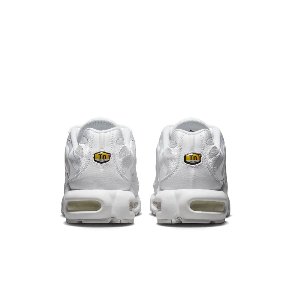 NIKE JORDAN Air Max Plus AJ2029-100 / weiss
