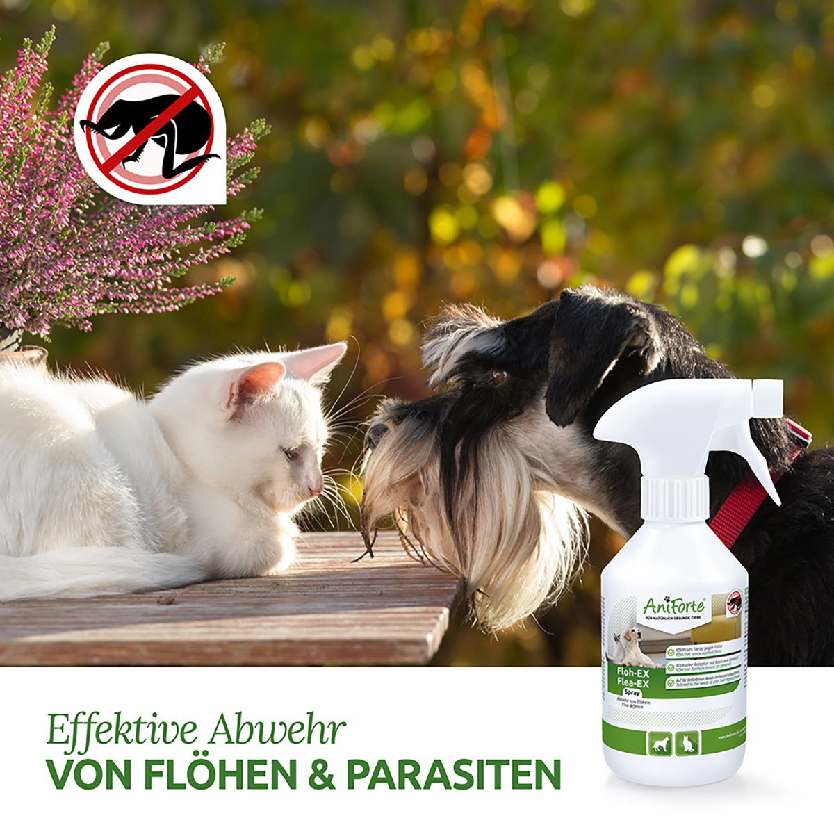 Aniforte Floh- & Zeckenmittel Aniforte Floh Ex Spray 250 ml