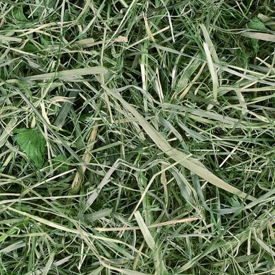 Chipsi Sunshine Bio Plus Bergwiesenheu
