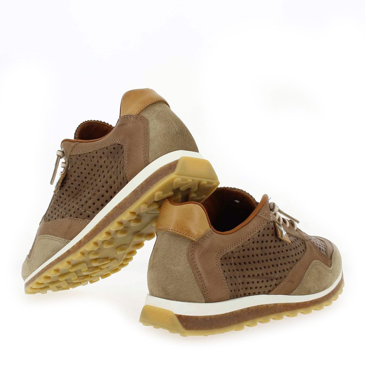 Cetti  C848 E23 - Camel