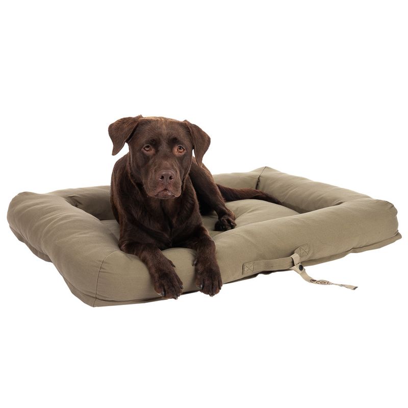 Modern Living Hundebett Toronto ecoLIFE zu TOP-Preisen | bitiba %