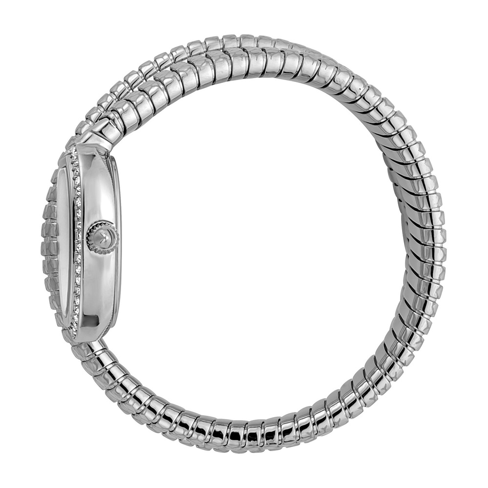 Just Cavalli Montre pour femme Acier inoxydable Montre
