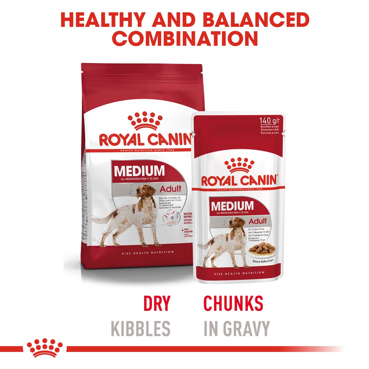 ROYAL CANIN MEDIUM Adult Nassfutter für mittelgroße Hunde