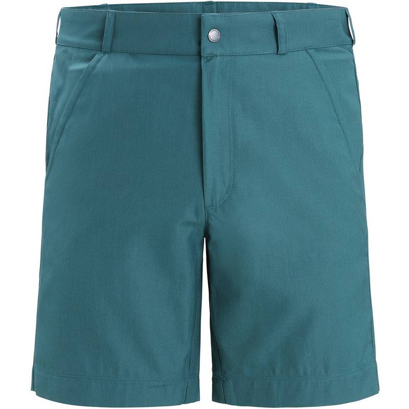 Icebreaker HIKE Funktionsshorts Herren