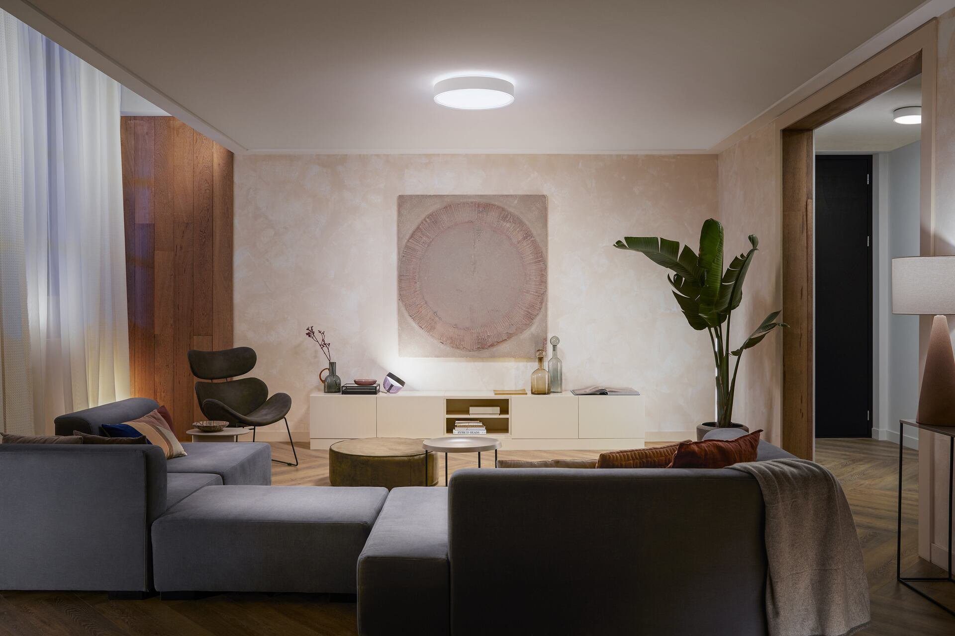 Philips Hue LED Deckenleuchte Enrave, Dimmfunktion, LED fest integriert, Warmweiß