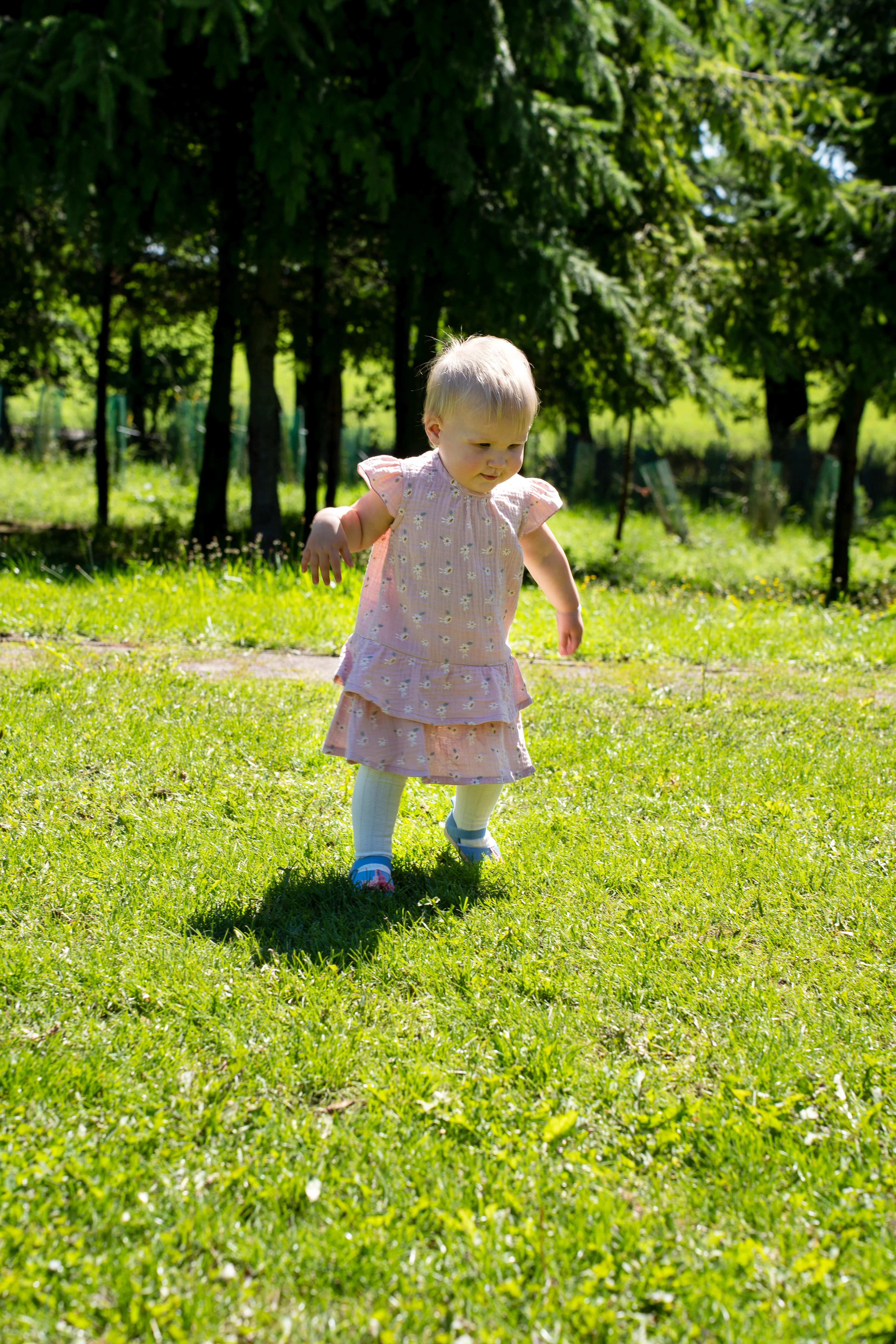 Babykleid bedruckt mit Gänseblümchen in versch. Farben