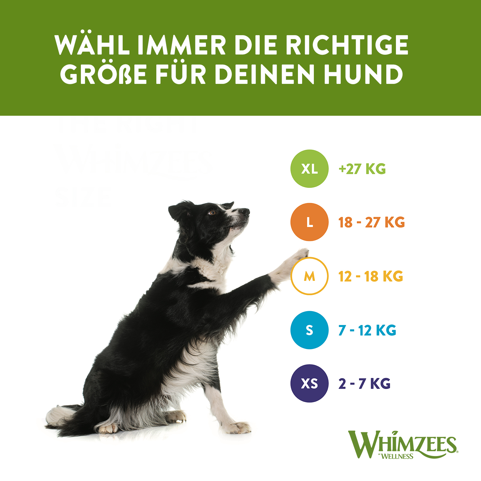 WHIMZEES Snacks WHIMZEES Zahnpflegesnacks Alligator 360 g (12 Stück)