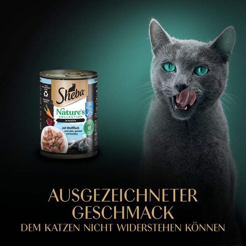 Sheba Nature's Collection 12 x 400 g zu TOP-Preisen