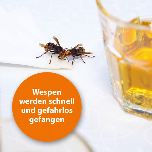 Ardap Zubehör Ardap Wespenfalle Nachfüller 2er Pack