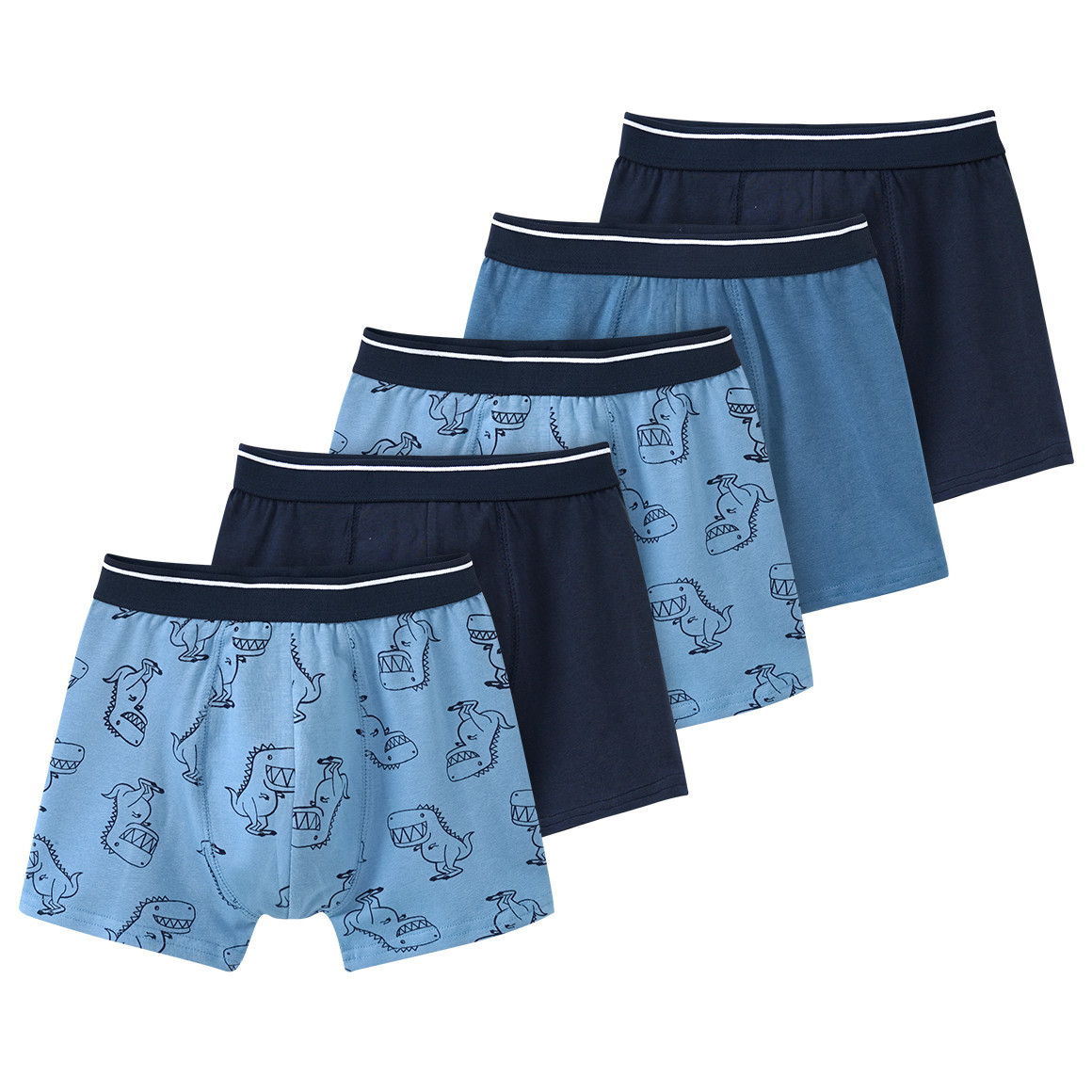 5 Jungen Boxer in verschiedenen Dessins