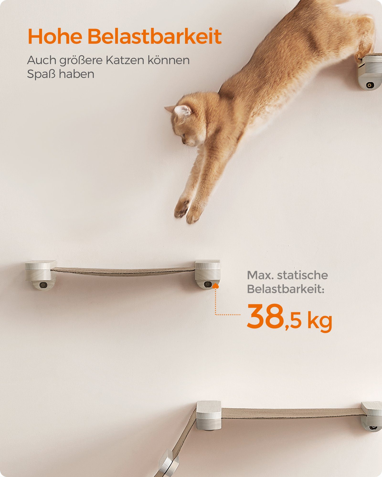 FEANDREA Katzen-Kletterwand, Kratzbaum Clickat Katzen-Hängematte platzsparend