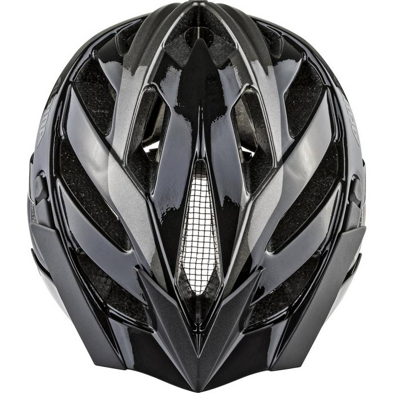 ALPINA PANOMA 2.0 Helm