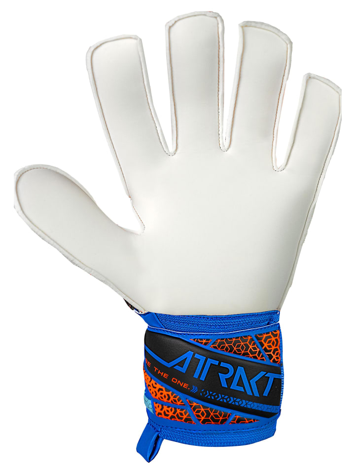 Reusch Torwarthandschuhe Attrakt Solid in 4467 electric blu/shock. orang günstig kaufen