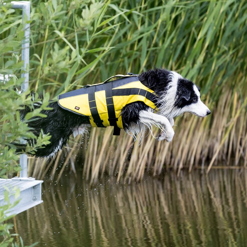 Trixie Schwimmweste für Hunde zu TOP-Preisen