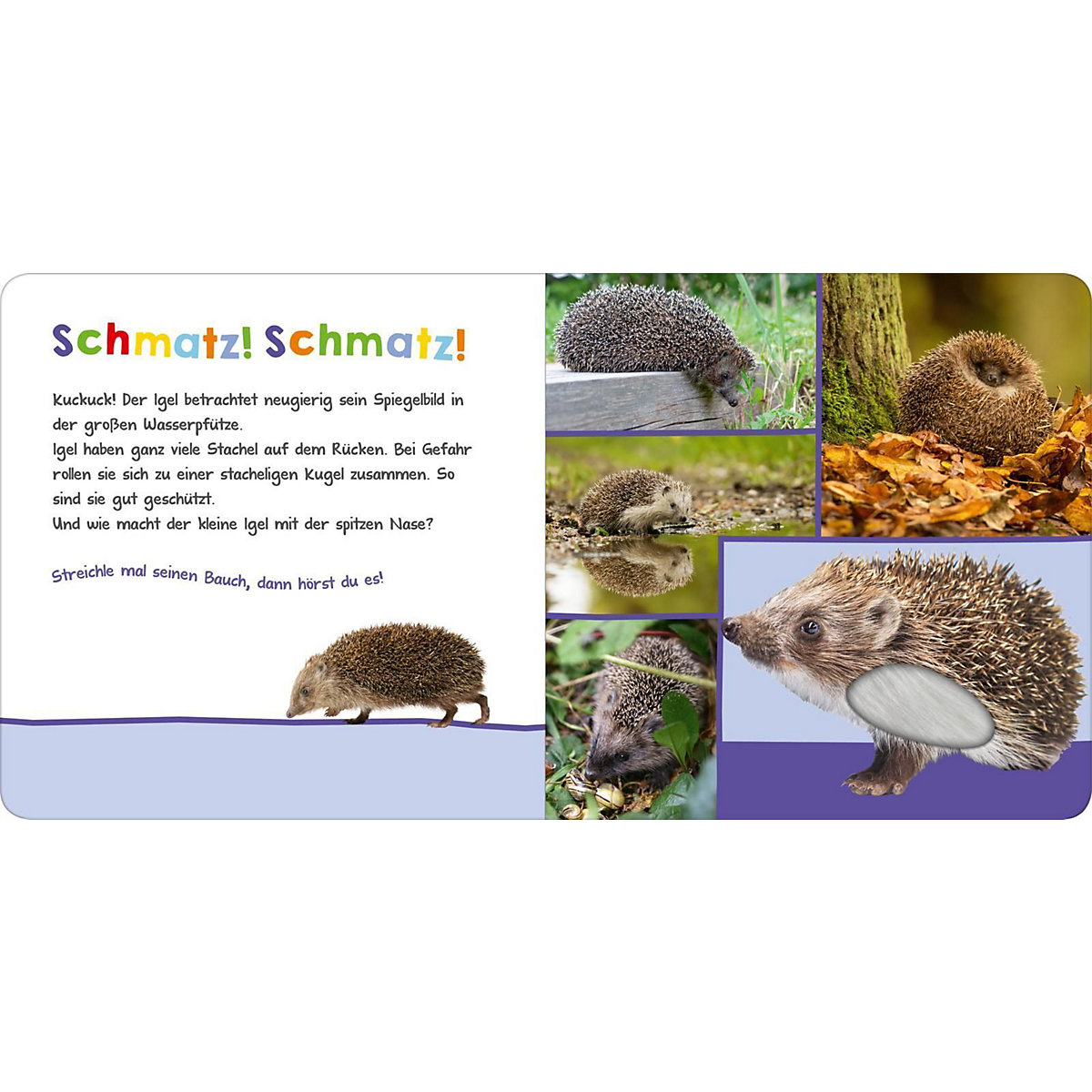Hör mal rein, wer kann das sein: Im Garten, mit Soundeffekten