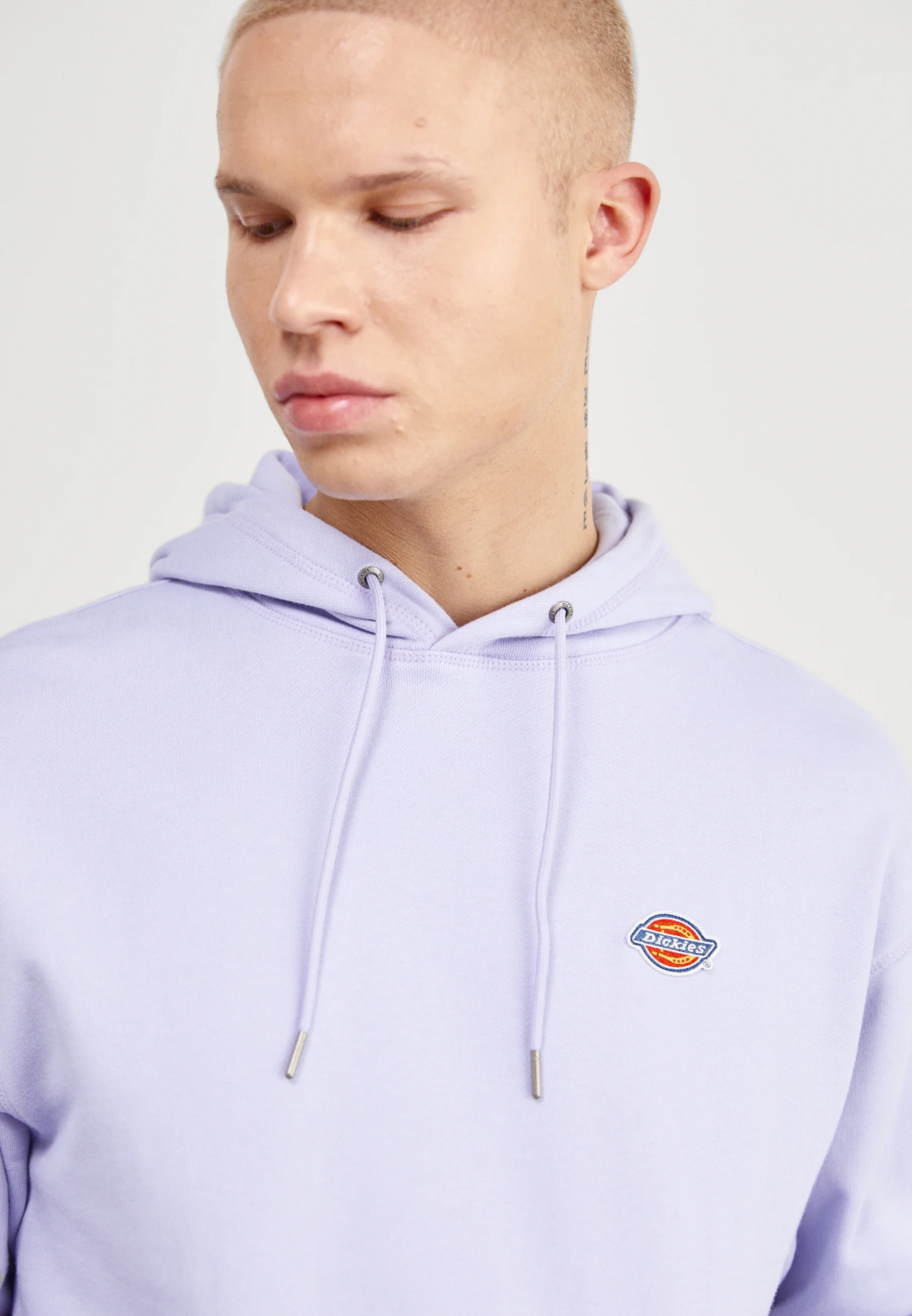 Sudadera con capucha Dickies Millersburg