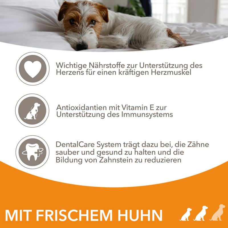IAMS Advanced Nutrition Senior Small & Medium Dog mit Huhn