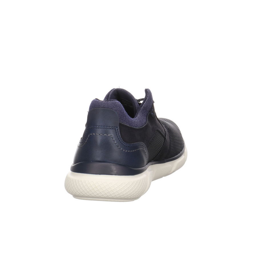 SALAMANDER Ponthus Sneaker