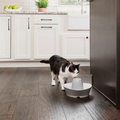 PetSafe® Streamside Keramik Trinkbrunnen
