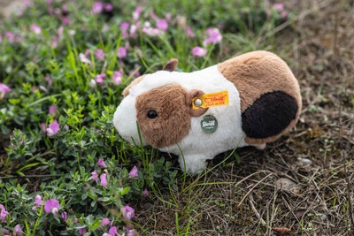 Dalle Meerschweinchen mit Quietsche, 22 cm, mehrfarbig