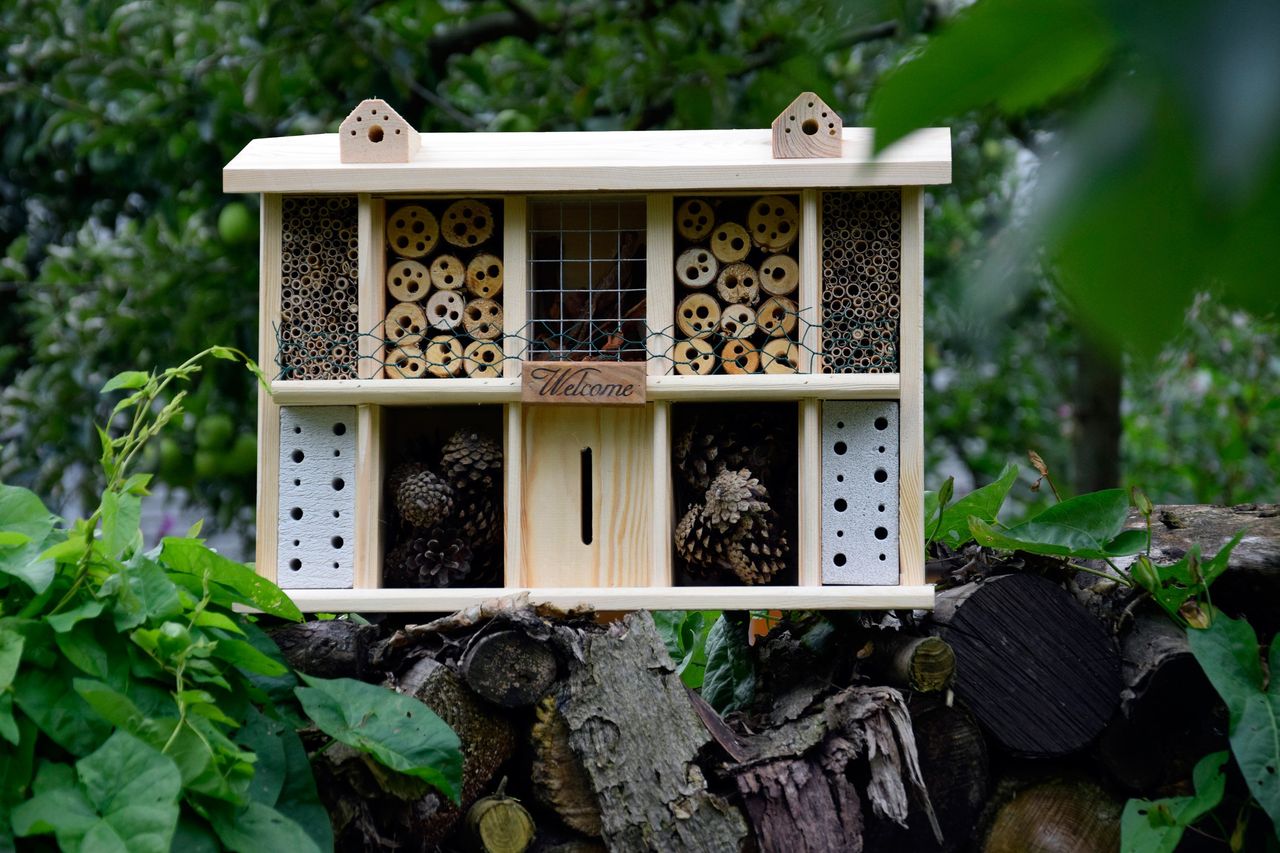 Luxus-Insektenhotels Luxus-Insektenhotel Bausatz 