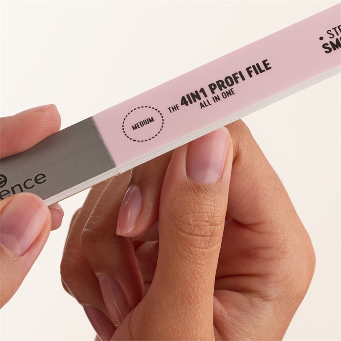 The 4 In 1 Profi File