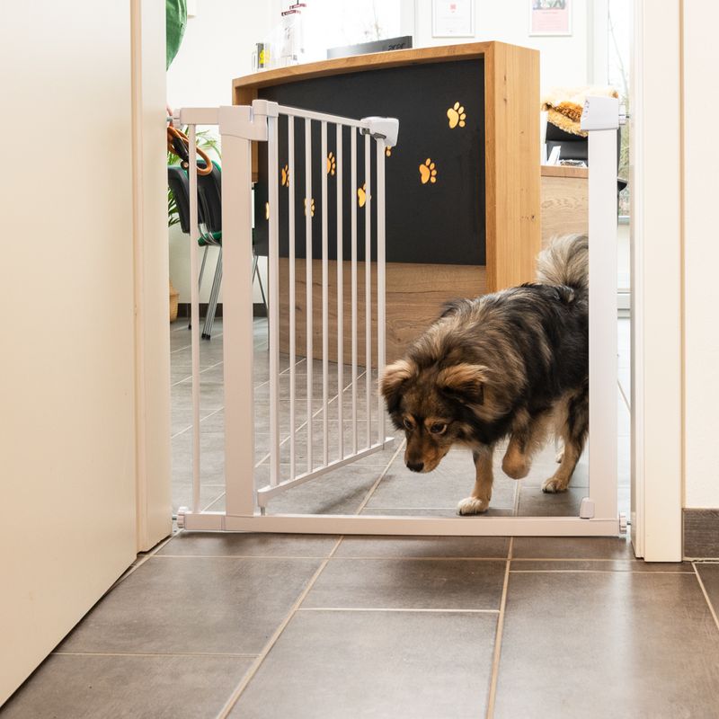 TIAKI Weißes Hundegitter mit 7 cm Verlängerung