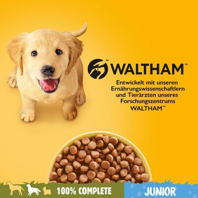 Pedigree Junior Medium mit Huhn & Reis