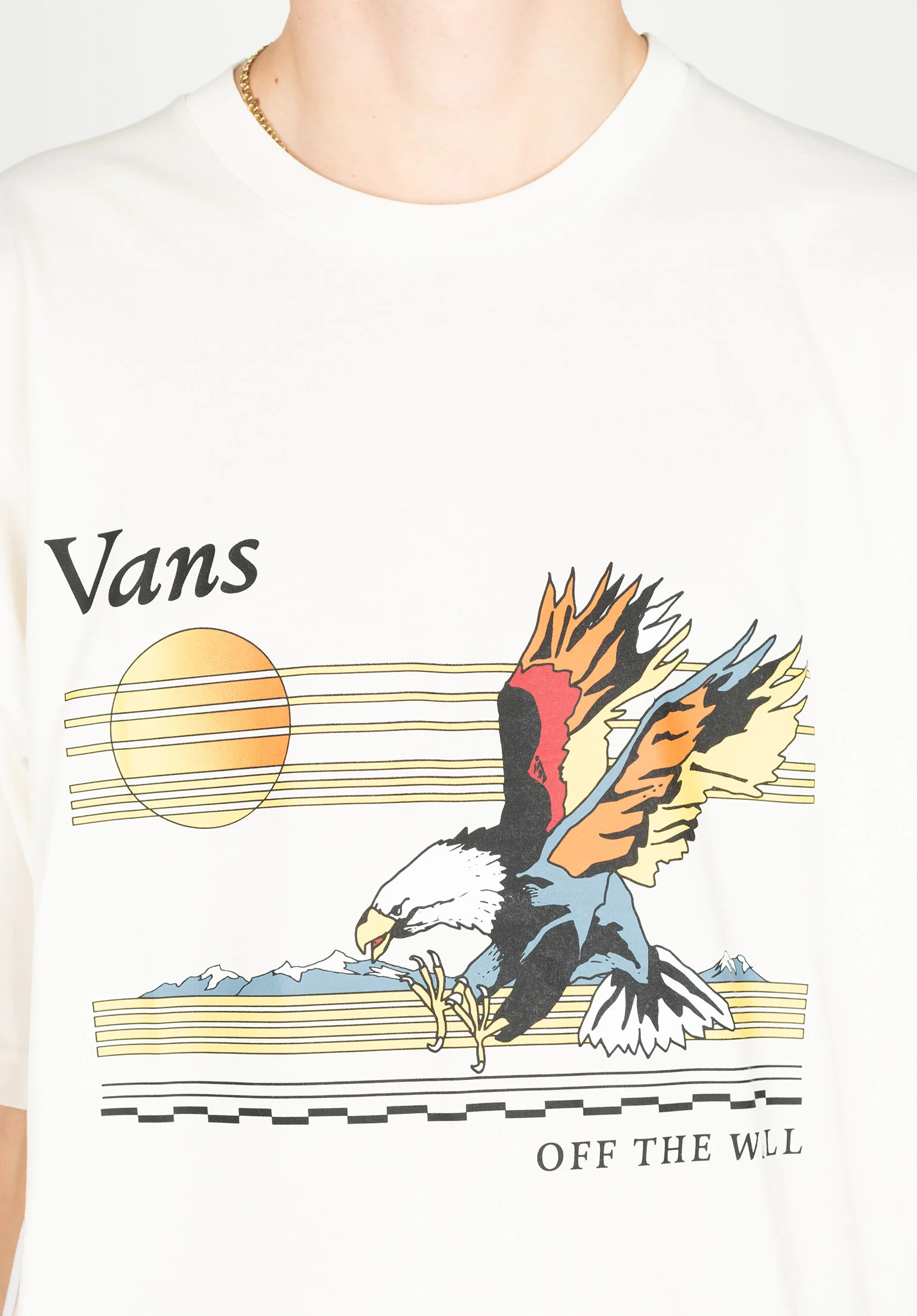 Soaring Eagle