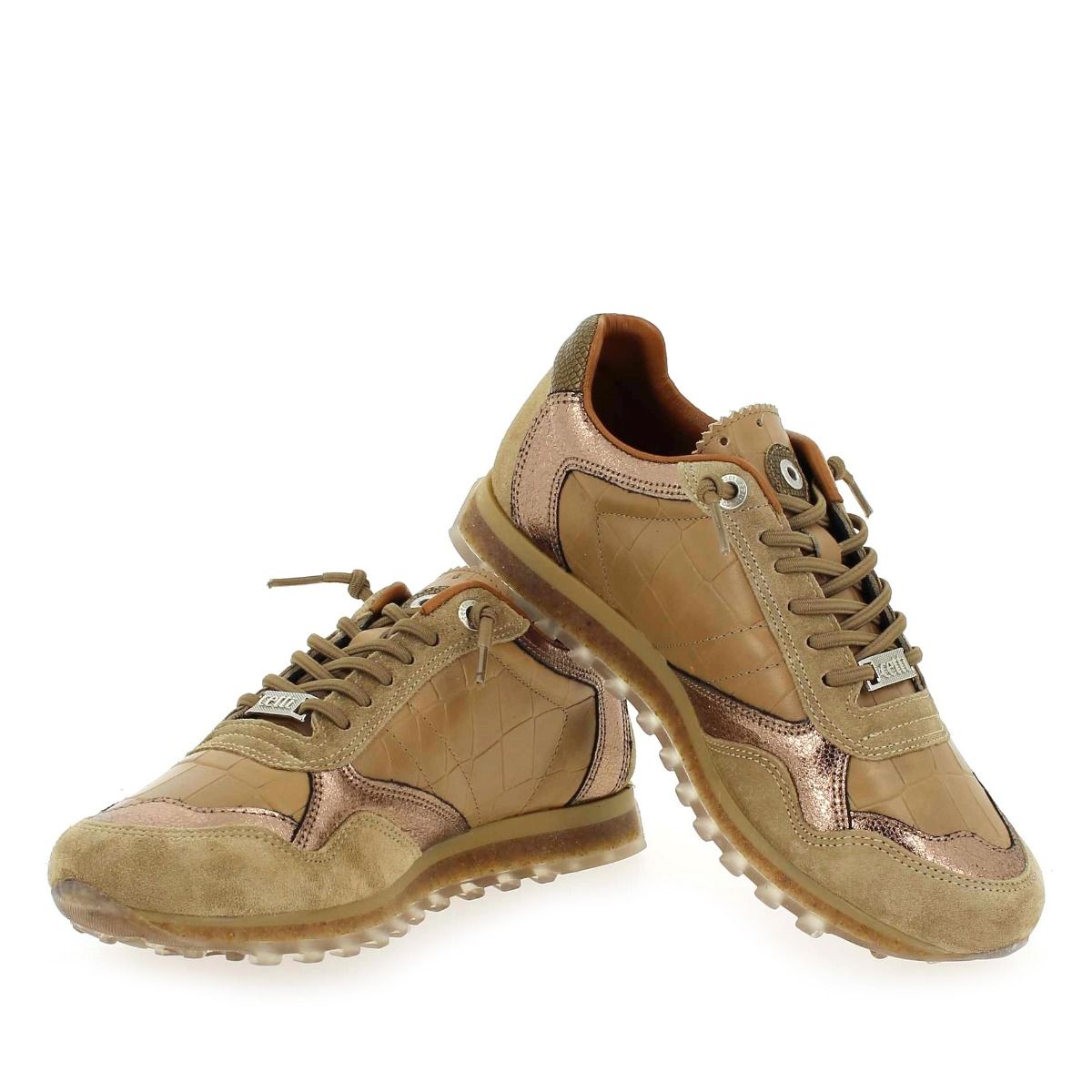 Cetti  C848 SRA H22 - camel bronze