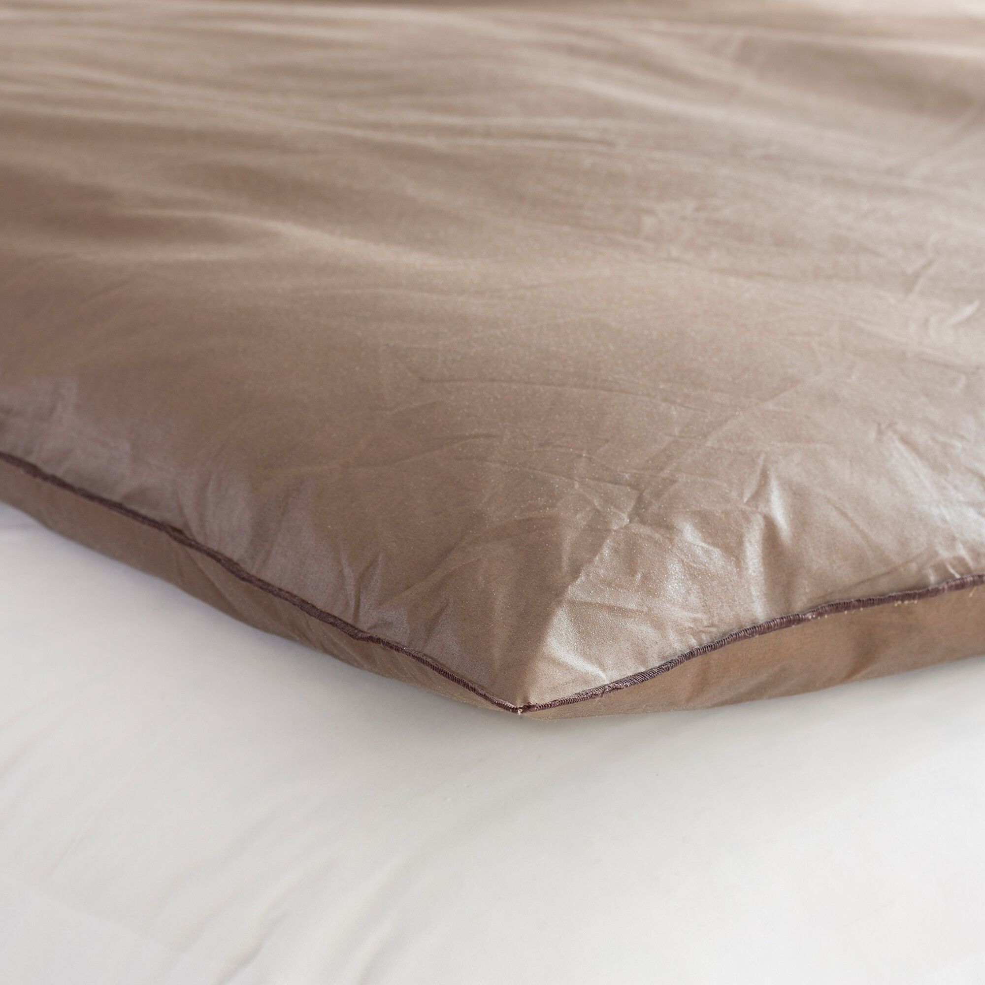 Edredon naturel duvet et plumettes