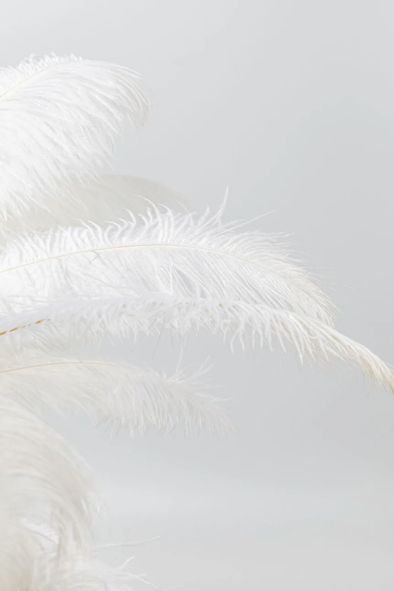 KARE Tischleuchte Feather Palm
