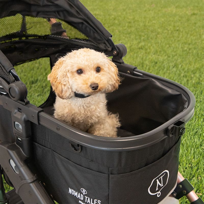 Nomad Tales Calma Pet Stroller, rose gold zu TOP-Preisen | bitiba