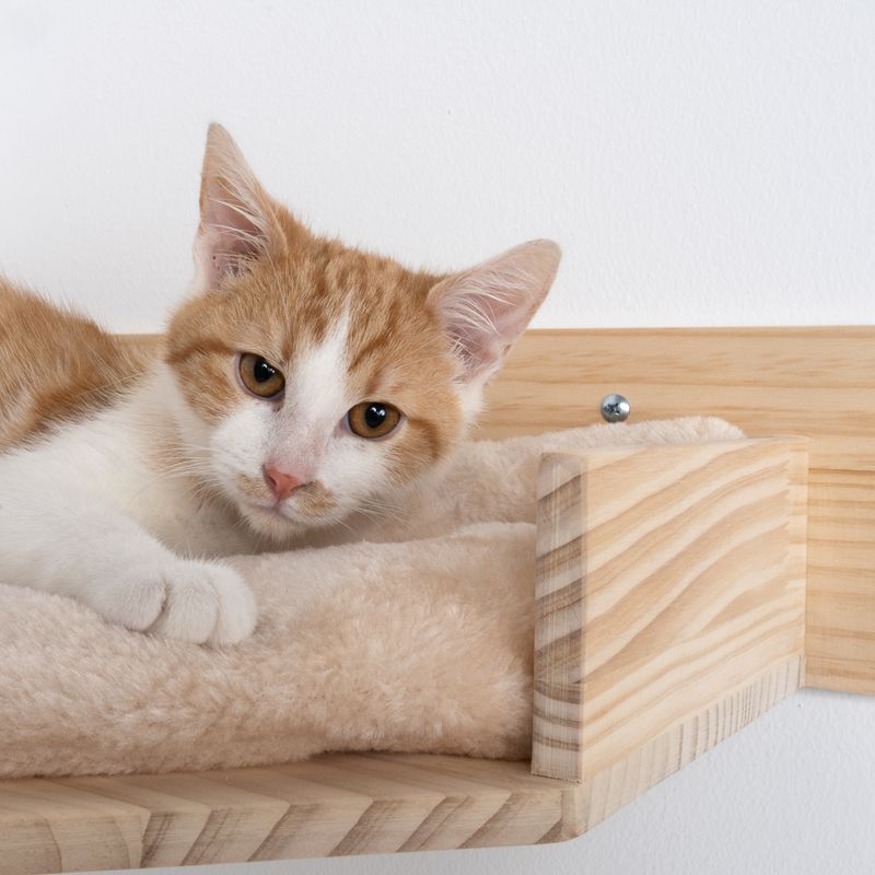Modern Living Wandliegebett Serra zu TOP-Preisen