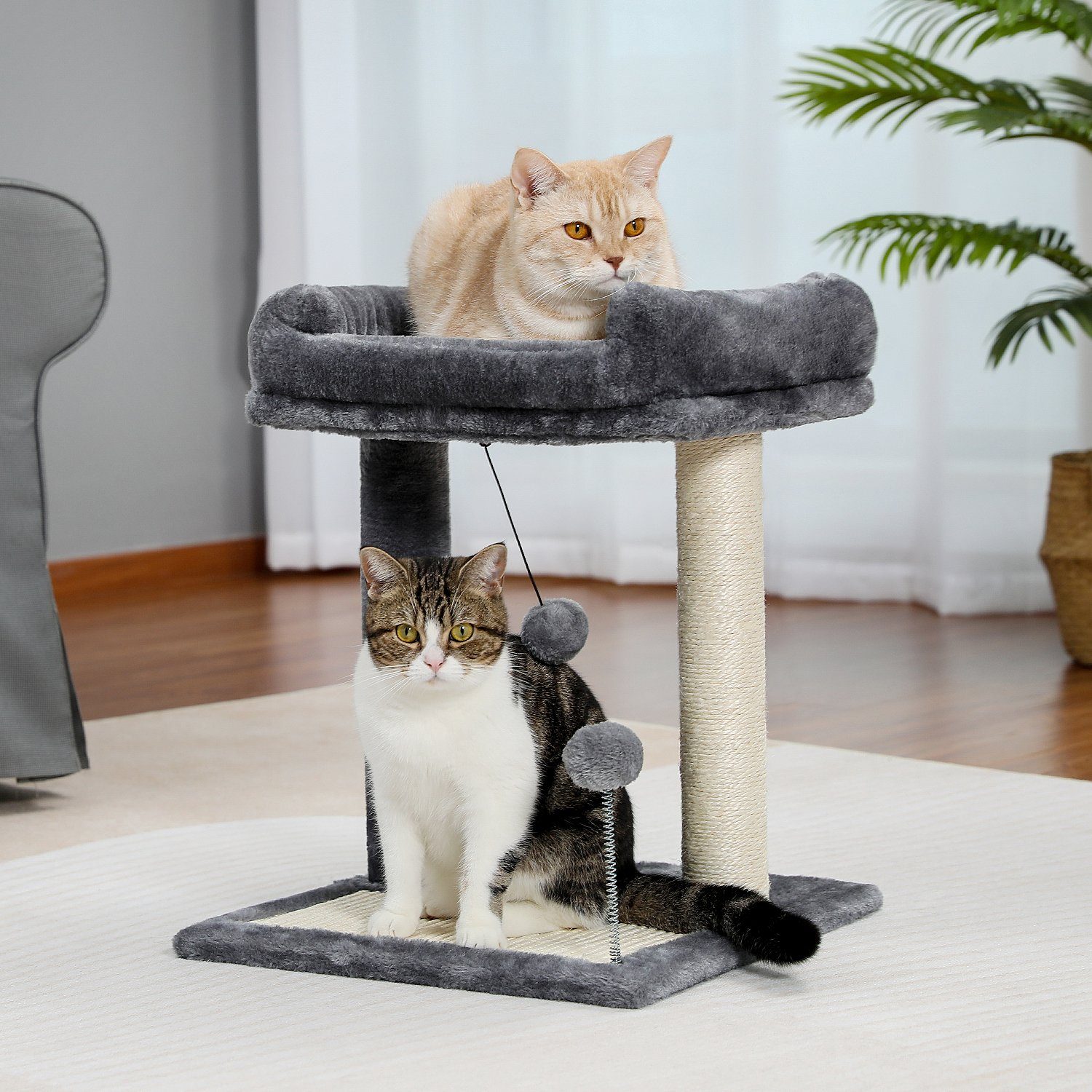 PAWZ Road Kratzbaum Kratzbaum 49cm Kratzstamm Kratzbrett mit breitem Bett Grau