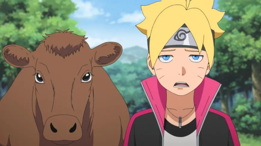 Boruto: Naruto Next Generations - Volume 13 (Ep. 221-232)  [3 DVDs]