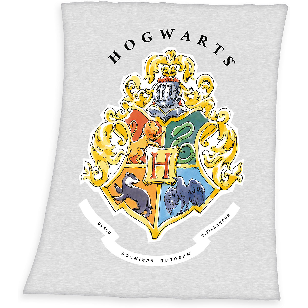 Harry Potter Fleecedecke, 130x160 cm, grau