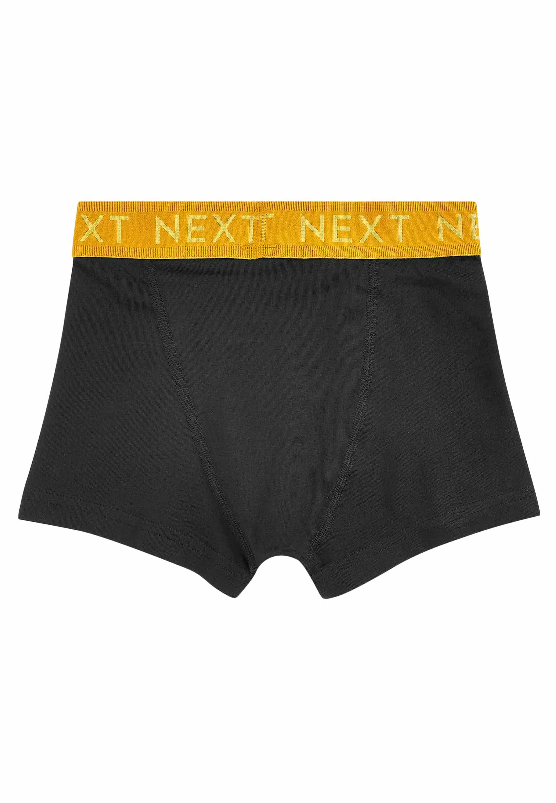 Pack de 5 calzoncillos con cintura opulenta - Culotte