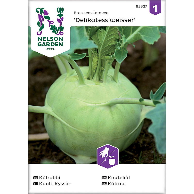 Nelson garden Frø Knutekål Delikatess weisser