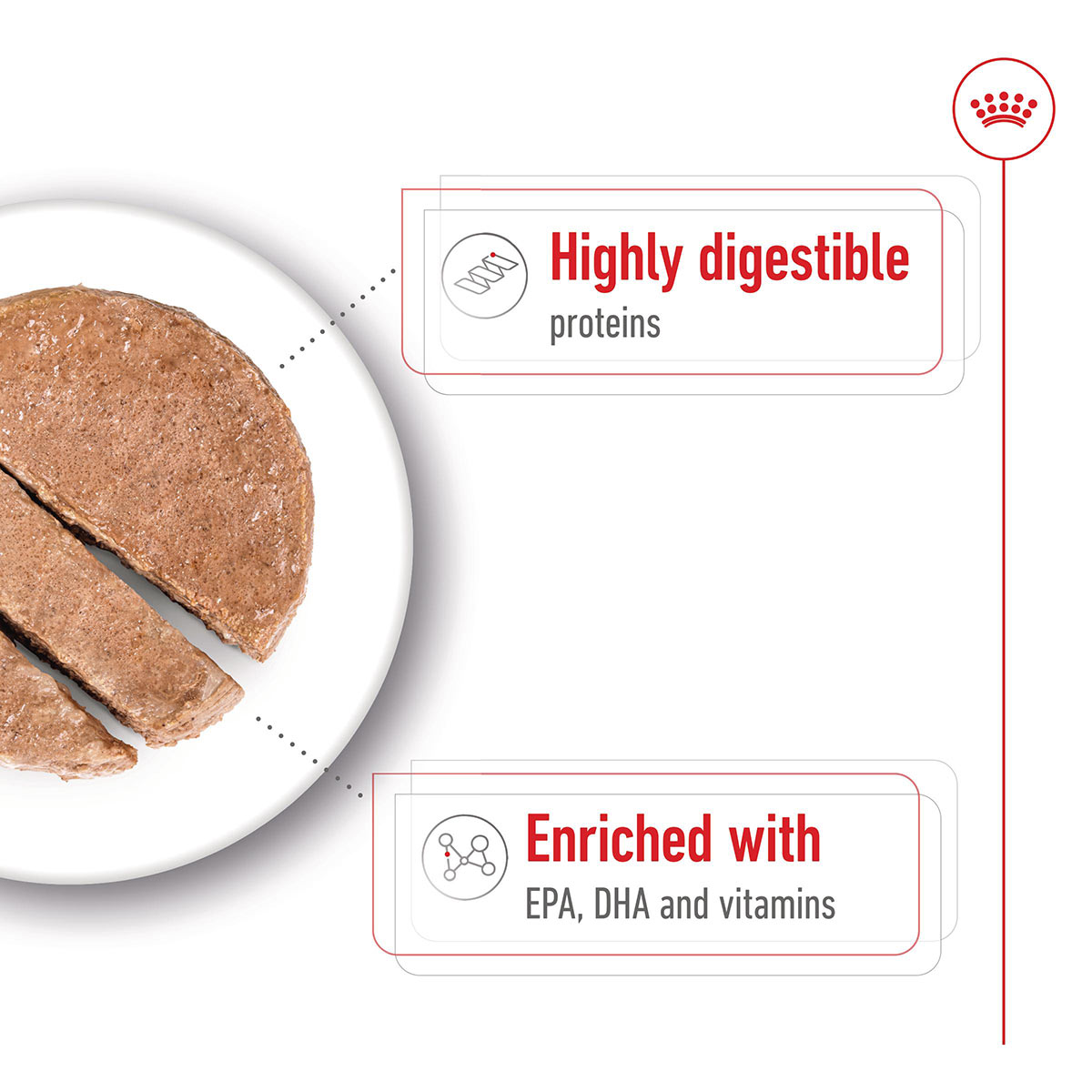 Royal Canin SHN Maxi Ageing Loaf Can günstig kaufen bei ZooRoyal