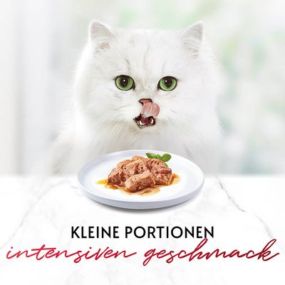 Mixpaket Gourmet Mon Petit 12  x 50 g