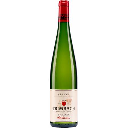 SYLVANER WEINBAUM 2021 - DOMAINE TRIMBACH