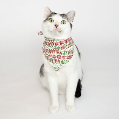 Bandana Set