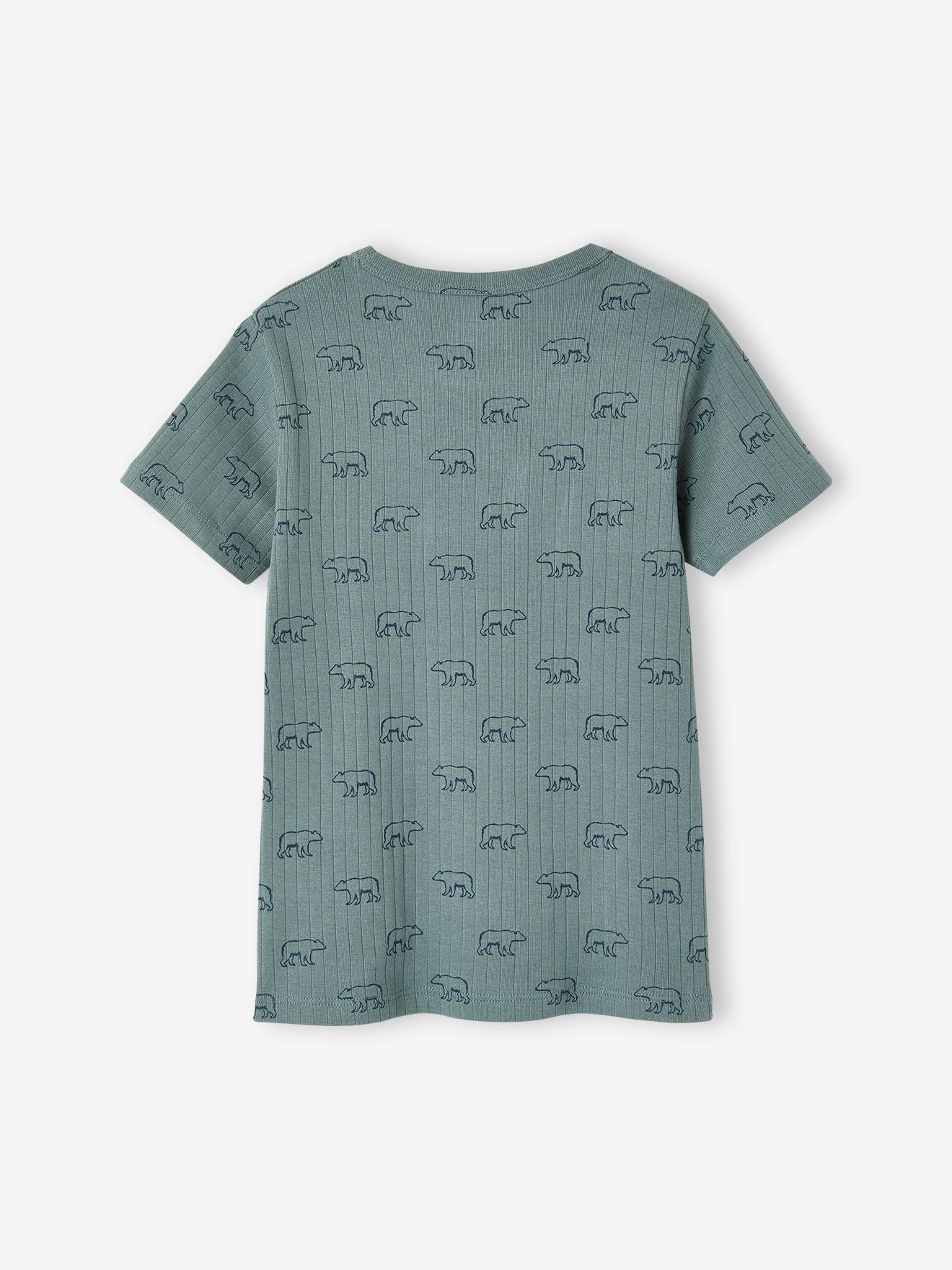 Lot de 3 T-shirts manches courtes ours en maille côtelée garçon vert émeraude